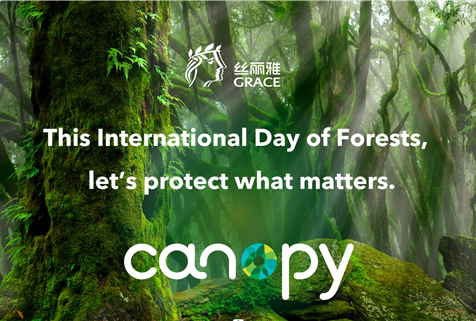 2023 International Day of Forests ｜ Advancing With Green & Protecting The Earth’s Lung
