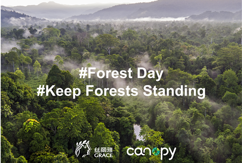 International Day of Forests: Keep Forests Standing